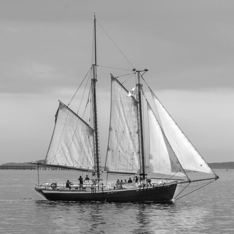 Liberty Fleet of Tall Ships Boston - Thumbnail
