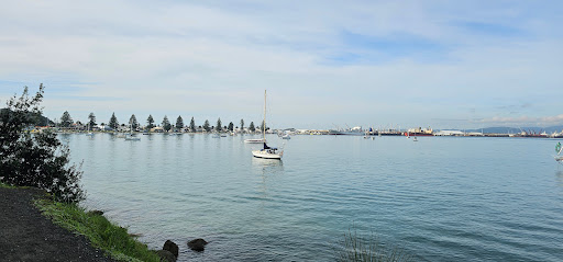 Pilot Bay Boardwalk Gallery - New Zealand