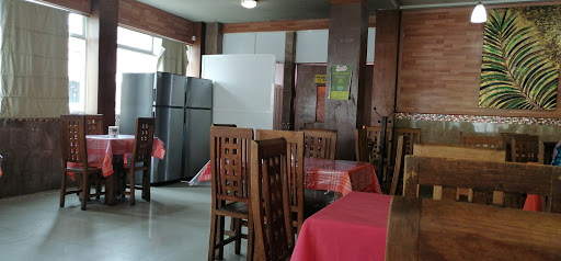 El Señor Nopal