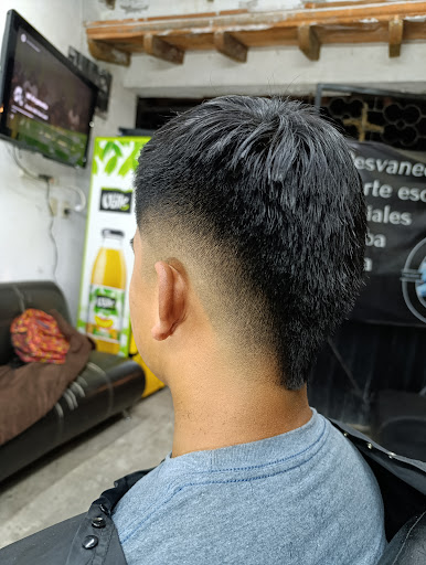 Gecko Barber