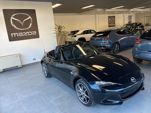 Mazda Belluno Nordauto - Thumbnail