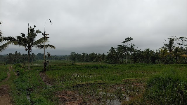 Bali Rocky Cycling Tour