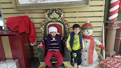 Photos of Ya Hala