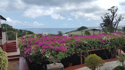 Photos of Jardin Exotique