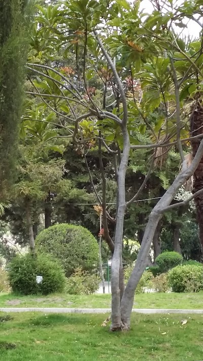 Photos of Jardin Botanico