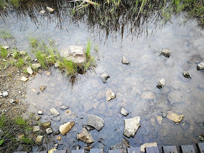 Photos of Millstream Farm