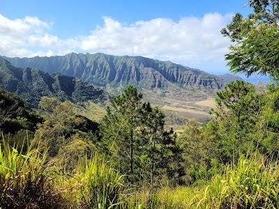 Mokulēʻia Forest Reserve