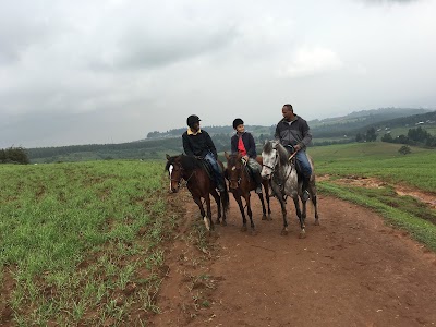 Photos of Beka Ferda Ranch
