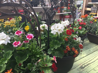 home-goods-store