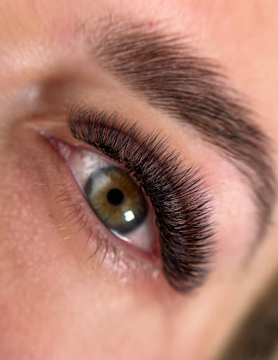 Lash and brow collective Logo