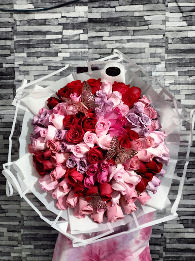 FlorisateLM - Visual