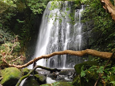 Photos of Matai Falls