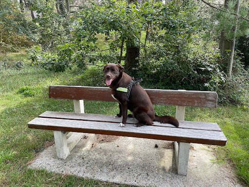 Le banc d'Hardelot