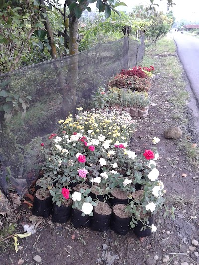 florist