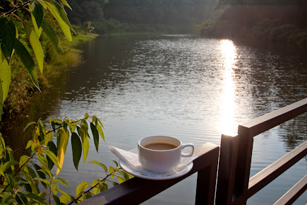 Af1qipmeastmu4z Dyaw5wkz4b81wwpubt71 Oea5ats=s435 K No