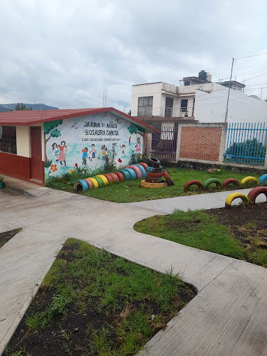 Jardín De Niños Rosaura Zapata Churucumeo. - Thumbnail
