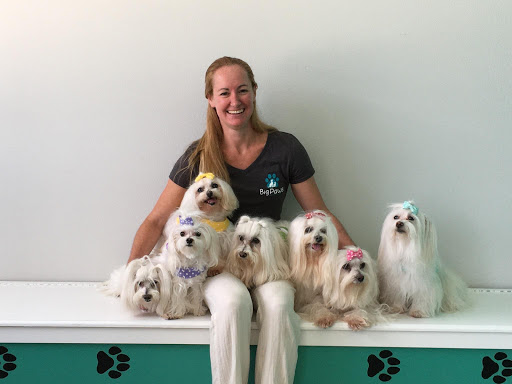 Big Paws Animal Hospital - Thumbnail
