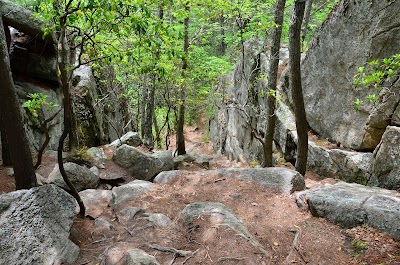 Ell Pond Preserve Trailhead