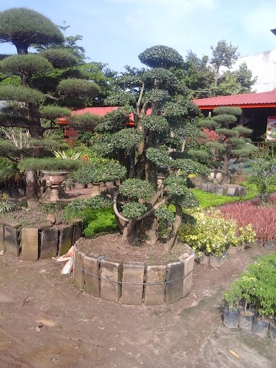 Photos of Windha - Wan Florist