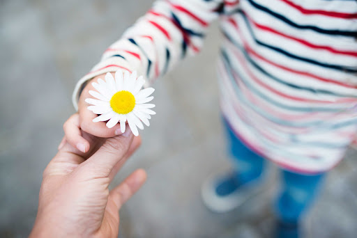 Jennifer Bosma- Children's Book Author of I Know the Plans and The Baby Garden