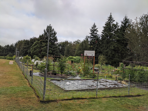 Raab Park Community P-Patch Garden - Thumbnail