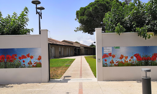 Public Primary School Le Grand Tamaris - Thumbnail