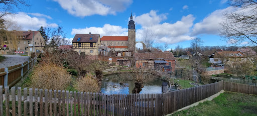 Teiche Thalbürgel - Visual