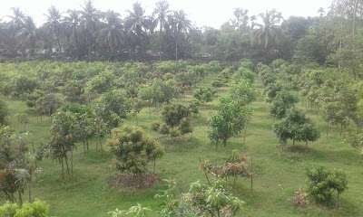 Photos of Mirganj Hat Chou Rassta