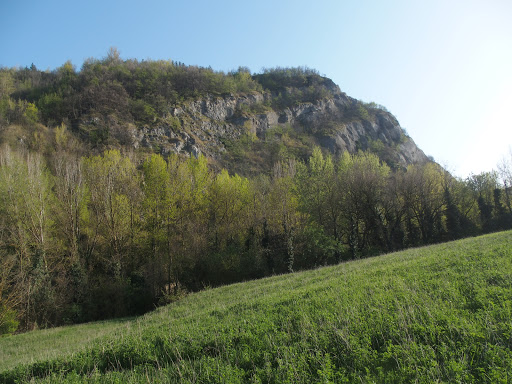 Rio Tiberi - Visual