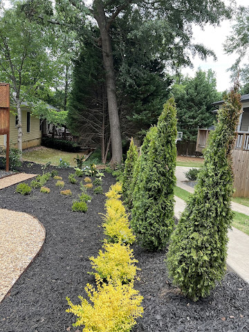 Garden Lights Landscaping by null