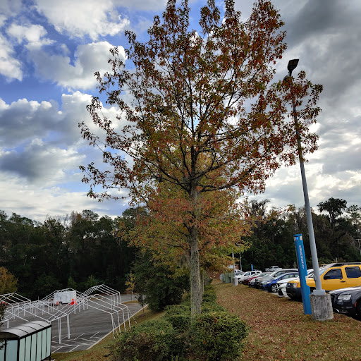 TMH Parking Lot C - Thumbnail