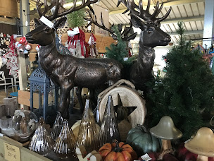 Photo n°34 de Stock Affaire 32 à Ramouzens (Bazar)