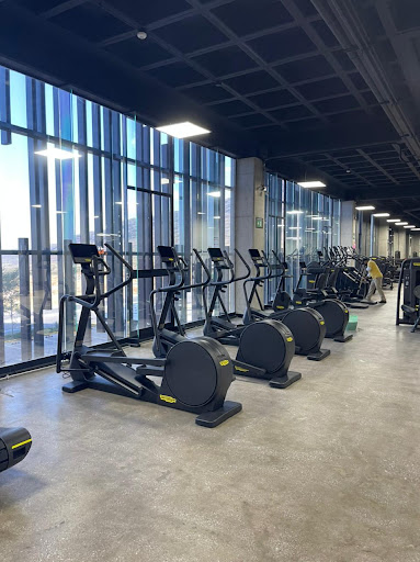 Lumina Gym Querétaro - Thumbnail