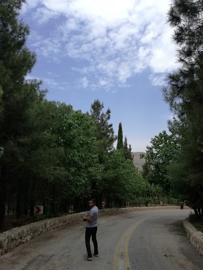 Photos of بوستان کوهستانی نور