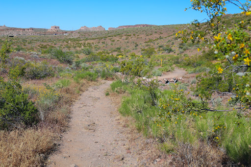Camp Beale Loop - Visual