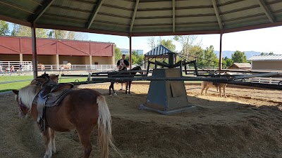 Photos of Farm Country at Thanksgiving Point