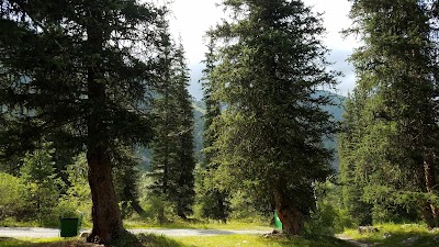 Photos of Rezidentsiya V Ala-Arche