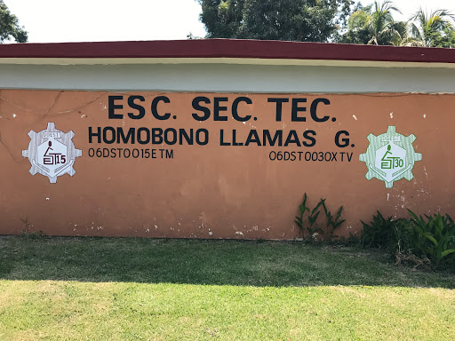 Escuela Secundaria Ténica #15 y 30 Homobono Llamas - Thumbnail