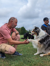 Photo n°2 de CAR'ANIMOS à Jacou (Dresseur pour chiens)