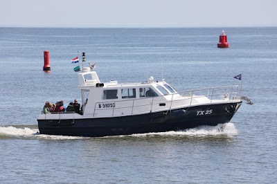 Photos of Texel Seals Tour - Seal Texel