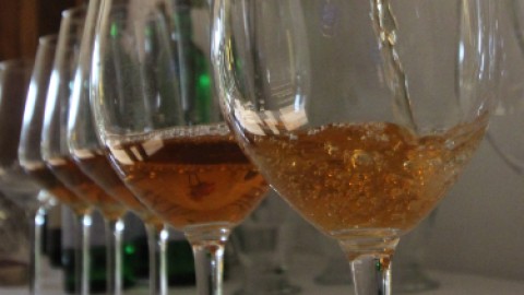 QVEVRI VINO - Thumbnail