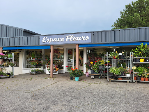 ESPACE FLEURS PIERRELATTE