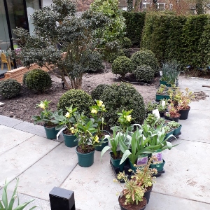 Eden Gardeners photo 2