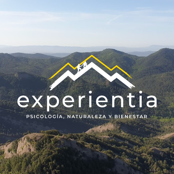 Asociacion Experientia