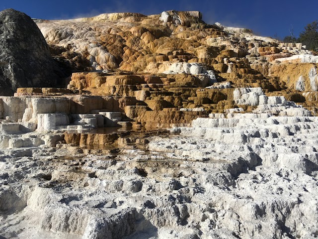 Mammoth Hot Springs