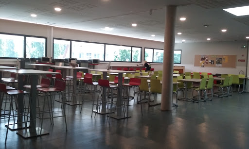 Faculté des Lettres et Sciences Humaines - Thumbnail