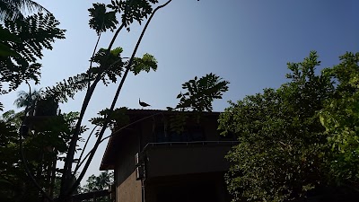 Photos of Lush Life Villa