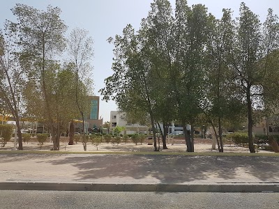 Photos of حديقة الخالدية قطعة 3