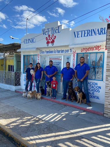 Clinica Veterinaria VeT-TreL