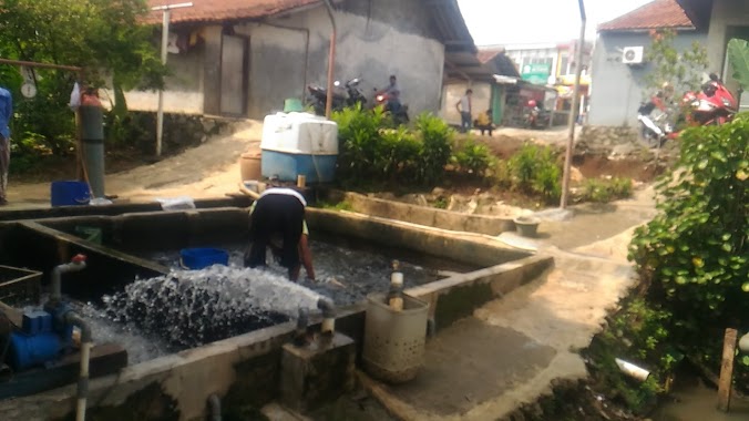 Baruna Mas (Penjualan Ikan Mas Segar), Author: muhamad yulianto